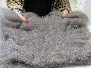 Gently tearing the batts into four pieces.