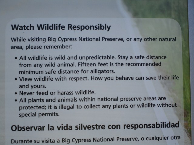 7c-alligator warning