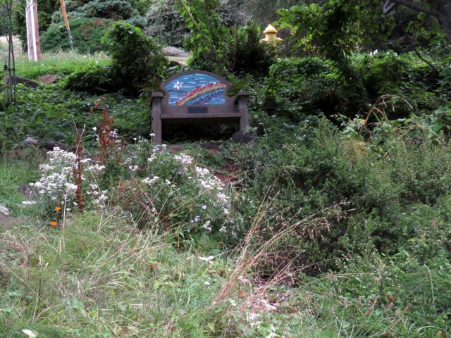 Yachats hiling trail - a welcoming place to sit awhile.
